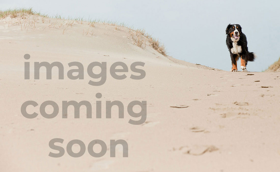 Wyndham Seawatch Resort | 3BR/2BA King B...