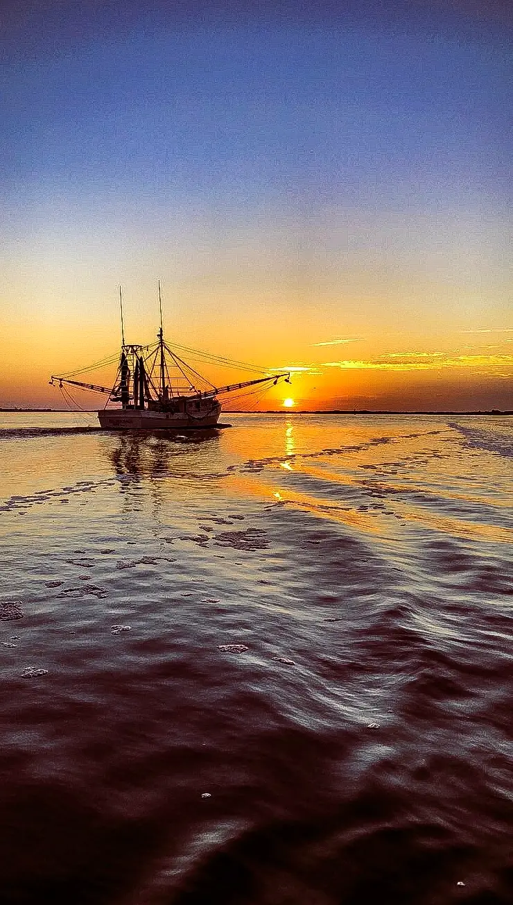 3 Hour Evening Fishing Trip