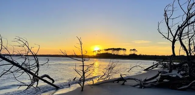 Waites Island Kayak Tour