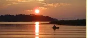 Sightseeing & Dolphin Watch