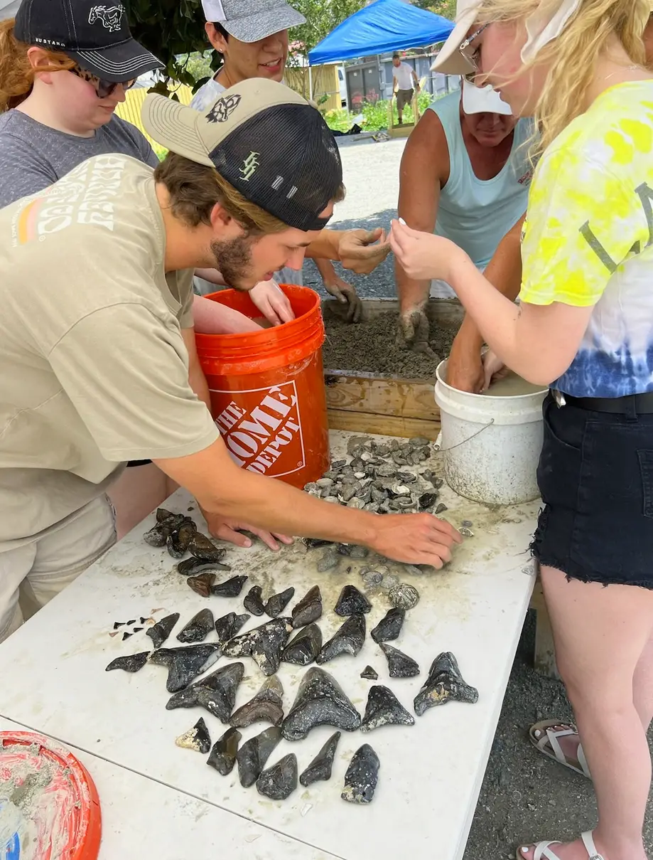 Megalodon Standard Dig