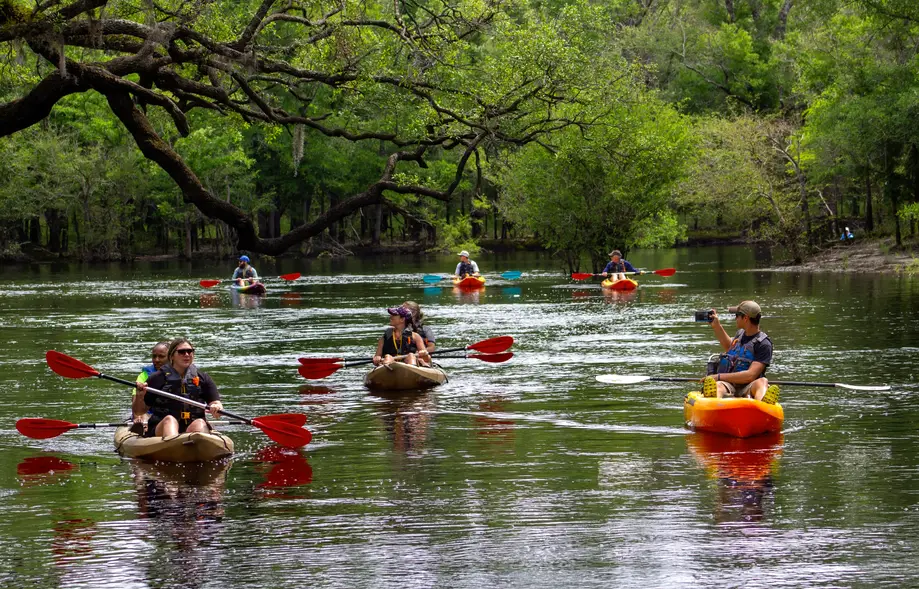 Kayak Island Tour