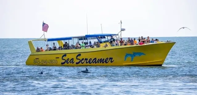 Dolphin Cruise (Sea Screamer)