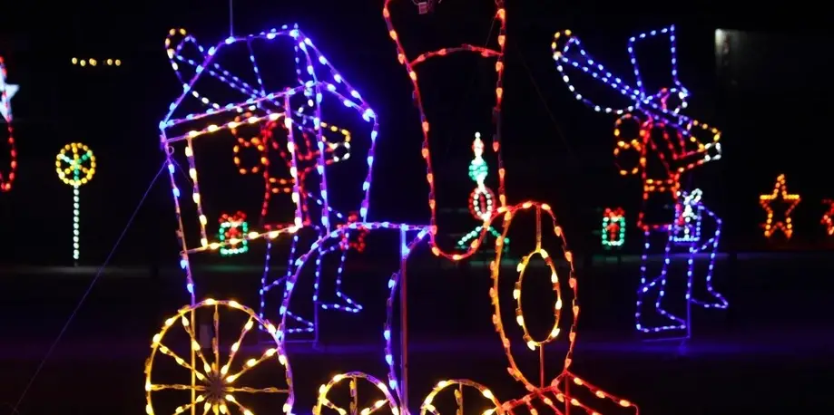 Nights of Lights Admission