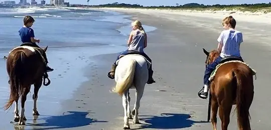 One Hour Island Beach Ride
