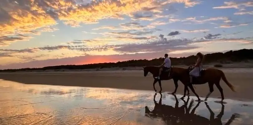 One Hour Sunset Beach Ride