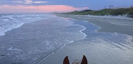 Private Proposal Oceanfront Ride