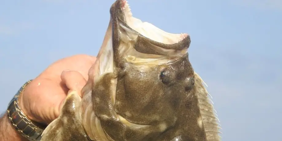 Family/Casual Fishing Trip