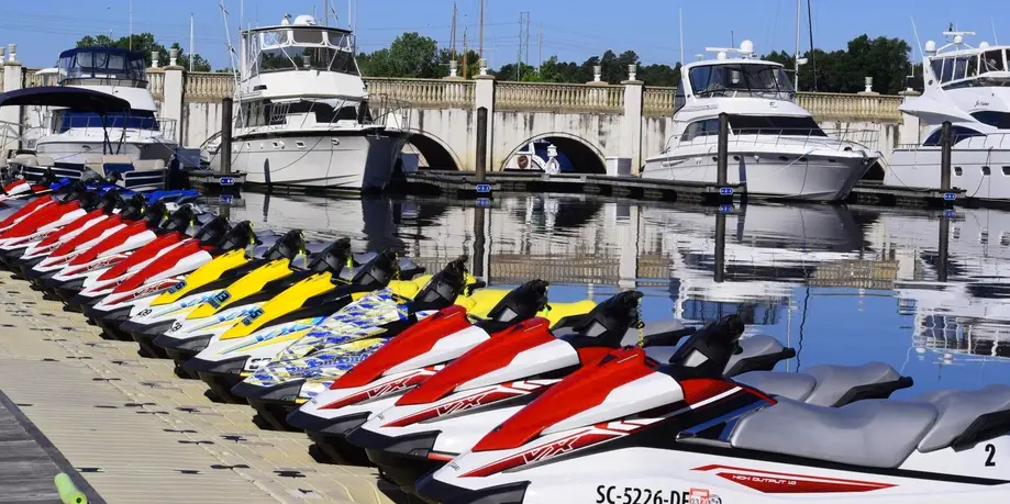 One Hour - Jet Ski Dolphin Watch Tour
