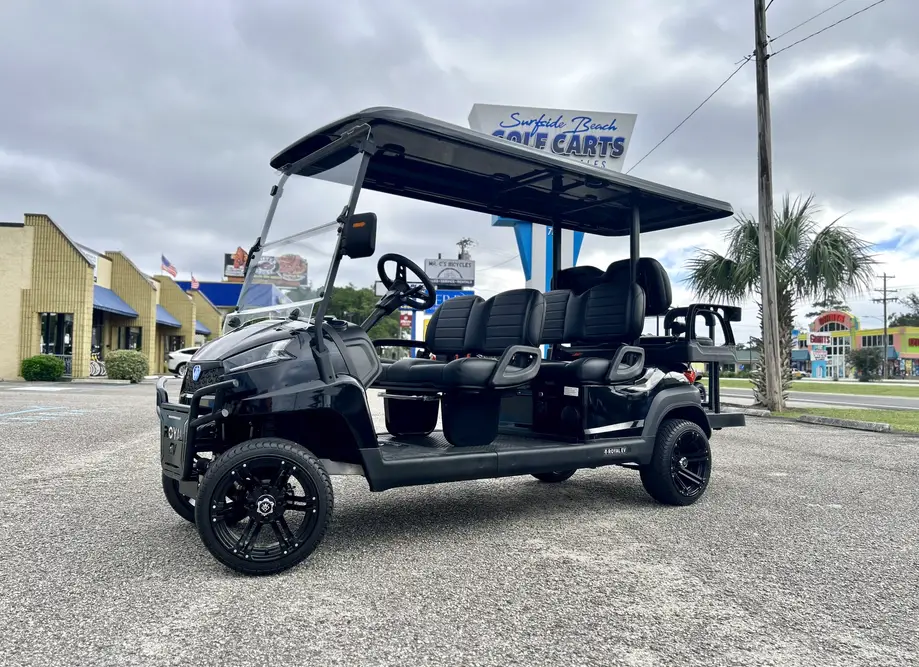 6 Seat Electric Lifted