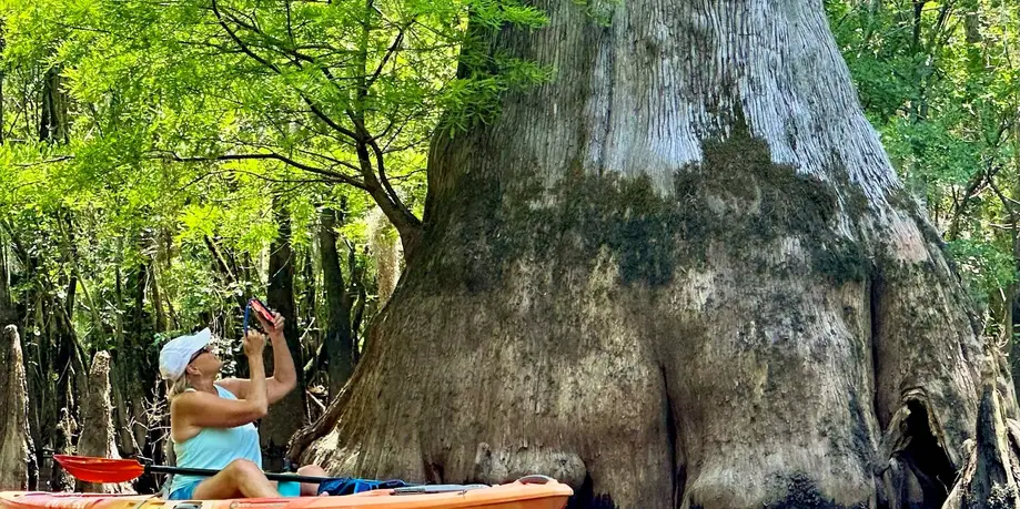 NEW! The Low Country Kayaking Tour