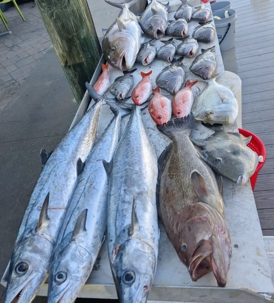 12 Hour Offshore Charter