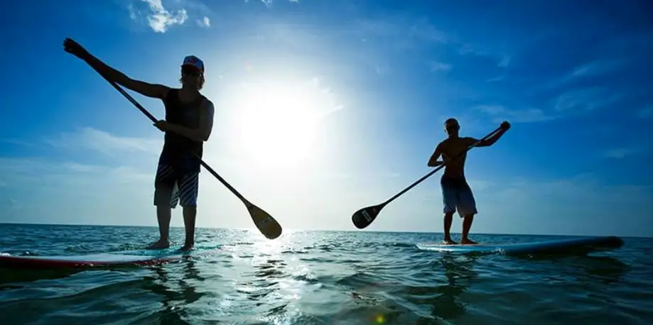 Paddleboard Rental