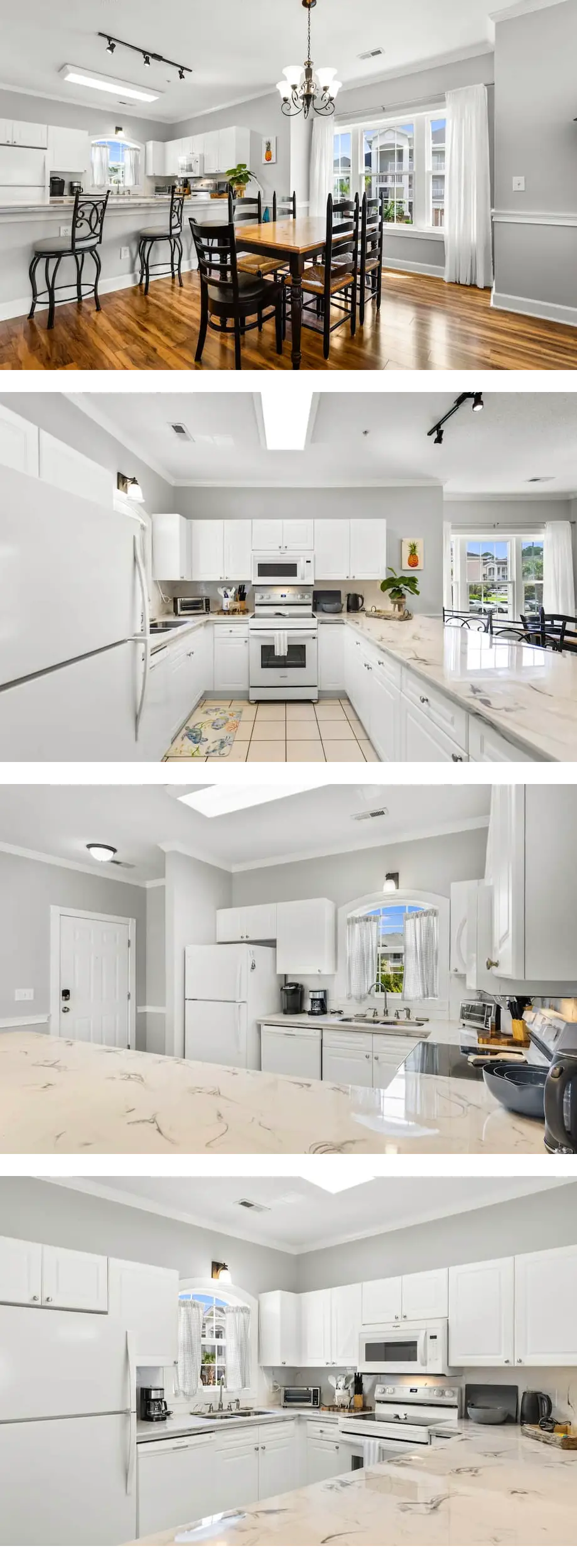 Magnificent Magnolias